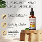 Relify NatureSecrets B12 B6 B1 Liquid Drops - Sublingual B-Complex with B12, B6, B1, Niacin & Folic Acid, Methylcobalamin 5000 Mcg, 27,200 Mcg Total - 2FLOZ (60 ML)(1pc)