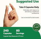 Micro Ingredients Bovine Colostrum 1,000 mg Per Serving, 240 Capsules | 40% IgG First Milking with Collagen & Probiotics | Colostrum Supplement with 10 Probiotic Strains | Non-GMO, Gluten Free
