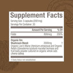 OM MUSHROOM SUPERFOOD Brain Fuel Mushroom Powder Capsules Superfood Supplement, 90 Count, 30 Days, Lion's Mane, Reishi Blend Plus Folate, Mental Clarity, Mushroom Supplement