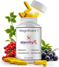 Resveratrol + Dihydroberberine + Quercetin Complex – Anti-Aging Cellular Supplement with Vitamin C & Zinc – Longevity & Mitochondrial Support – 90 Capsules – Doctor Formulated