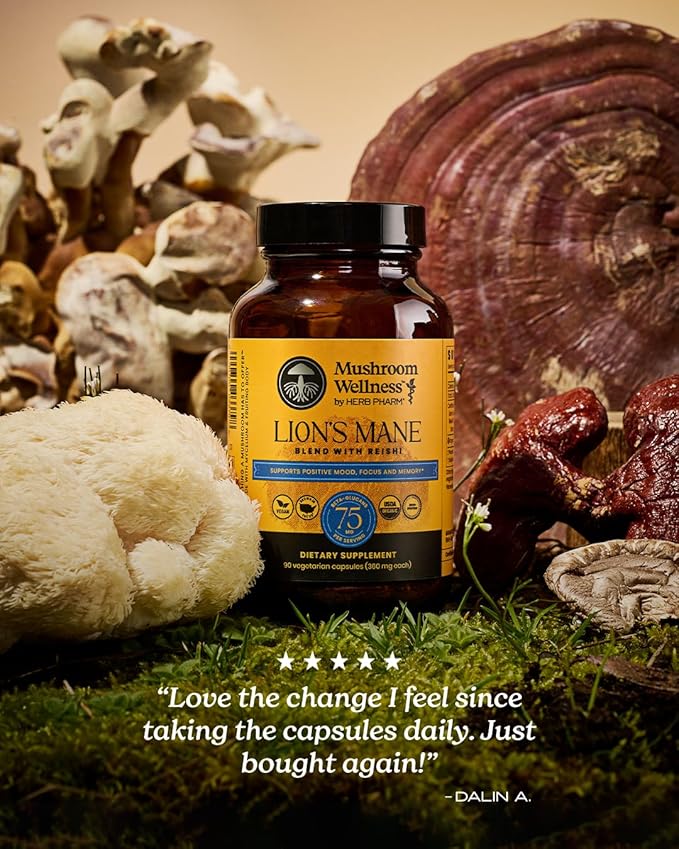 Mushroom Wellness Lion’s Mane Blend with Reishi: Organic Lion's Mane & Reishi Mushroom Capsules, Mushroom Powder Supplement, Supports Cognitive Health, Memory, and Mental Focus, 90 Vegan Capsules