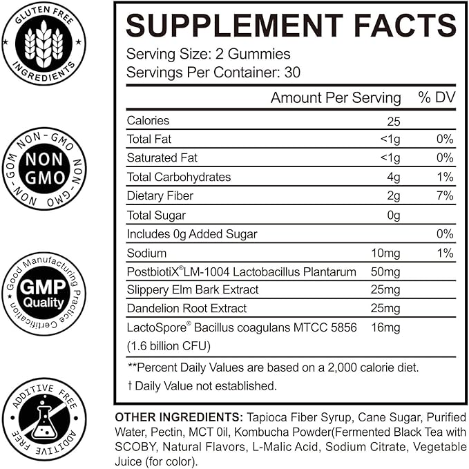 Probiotic Kombucha Gummies | Sugar Free | Probiotics Fiber Supplement for Women and Men | 1.6 Billion CFU Lactobacillus Plantarum & Slippery Elm for Bloating & Gut Health | Strawberry Flavor