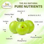 Organic Veda Amla Capsules - 1500mg, 300 Capsules - Natural Vitamin C Supplement with Antioxidants, Polyphenol for Immunity, Skin Glow & Hair Growth - Single Origin Premium Organic Amla Fruit Powder