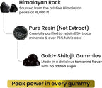 Better Alt Gold+ Shilajit Gummies | with Ashwagandha, Safed Musli,Shilajit Resin & Ginger |Helps Boost Energy & Improves Stamina |1-Month Dietary Supplement|60 Gummies