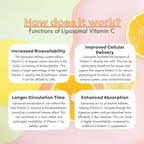 Humble Liposomal Vitamin C - Advanced Absorption Formula | Powerful Antioxidant, Immune Support, Brain Health | Non-GMO, Soy-Free, Gluten-Free, Dairy-Free