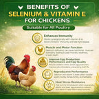 8 oz (227 g) Selenium & Vitamin E Powder for Chickens, Selenium Supplement for Chickens, Supports Immune & Muscle Health, Suitable for All Poultry