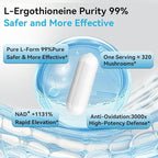 PQM NAD+ 600mg with Ergothioneine 24mg | Supports Cellular Energy, Anti Aging & Vitality | 99% Pure NAD Supplement | 60 Vegetarian Capsules Third-Party Tested