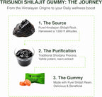 Himalayan Shilajit Gold Gummies 3000mg | Herbal Blend with Ginseng, KSM-66 Ashwagandha, Black Musli & Gokshura | Vegan Supplement – 60 Gummies (30 Day Supply)