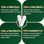 NMNH Supplement 2000mg, Liposomal Nicotinamide Mononucleotide Alternative for NAD+ and Healthy Aging - with Resveratrol, Urolithin A, TMG, CoQ10 - 120 Capsules (β-Dihydronicotinamide Mononucleotide)