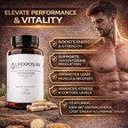 Natural Testosterone Supplement for Men - KSM-66 Ashwagandha, LJ100 Tongkat Ali, PrimaVie Shilajit, Royal Jelly, GG-Gold - Energy, Stamina, & Muscle Support Supplement - 120 Capsules