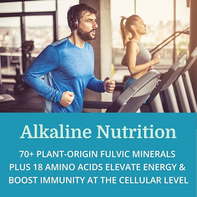 Morter Trace Minerals in Colloidal Suspension (6 Pack) Morter HealthSystem Best Process Alkaline — Nutrient Dense Trace Elements, Fulvic Minerals & Amino Acids