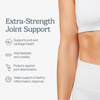 Zenwise Health Joint Support Supplement with Glucosamine Chondroitin MSM, Curcumin & Sulfate - Joint Health for Women & Men - Mobility & Flexibility Support for Knee, Cartilage & Bone - 90 Count