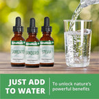 NutraMedix Melatonin Night Time Support Drops for Occasional Sleeplessness - Liquid Melatonin for Optimal Rest, Immune System & Mood Support - May Help with Feeling Groggy (1oz / 30ml) (Pack of 2)
