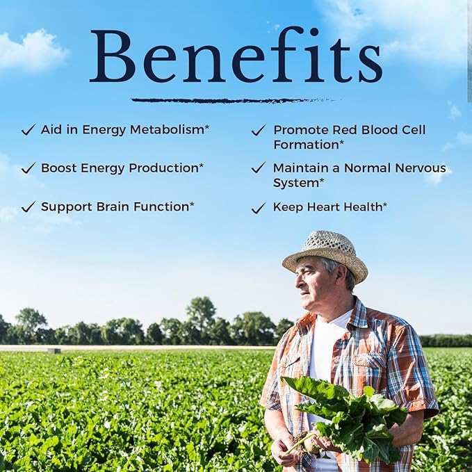 Vitalitown Vitamin B12 (Methyl B12) 5000 mcg, Fully Bioactive Form, Support Energy Production, Natural Peach Flavor, Zero Sugar, 120 Fast Dissolve Tablets