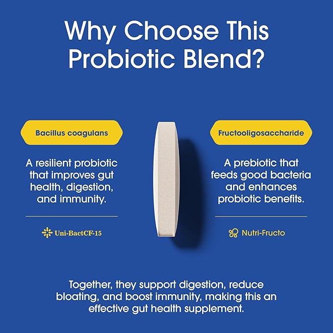 Nutrition Essentials Probiotics for Women and Men - with Lactase Enzyme and Prebiotic Fiber for Digestive Health - 80 Percent + More Potent Supplement for Gut Health Support - Vegan Formula
