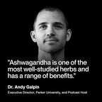 Momentous Ashwagandha Supplement - 300 mg NooGandha Ashwagandha Extract - Cognitive Performance, Alertness, & Focus Support - NSF Certified for Sport - Vegan - GMO- & Gluten-Free - 60 Servings