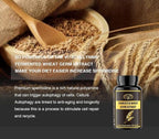 Spermidine Supplements - Wheat Germ Extract Capsules 1000mg Potent Formula with 10mg Higher Spermidine & Zinc for Antioxidant, Cell Renewal, Immune System and Increases Energy 240 Capsules (4 Bottles)