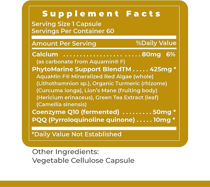 Premier Research Labs Premier PQQ Complex with CoQ10 - Coenzyme Q10, Co Q 10 Supplement with Pyrroloquinoline Quinone (PQQ) for Antioxidant, Brain & Heart Support - 60 Vegetarian Capsules