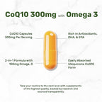 DEAL SUPPLEMENT CoQ10 300mg with Omega 3 100mg, 240 Capsules | Bioavailable Coenzyme Q10 Formula | Supports Heart, Energy & Brain Health | Antioxidant Support | Non-GMO