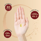NatureBell Zinc Quercetin with Vitamin C & D3, 240 Capsules | Quercetin 1,000mg + Zinc 50mg + Vitamin C 250mg + Vitamin D3 5,000 IU | 4-in-1 Advanced Immune & Lung Support | ZincVanta Formula