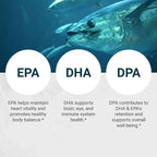 Naturalis Ultra rTG Omega 3 Fish Oil 1800mg from Wild New Zealand Tuna | IFOS Certified & Sustainably Sourced | Full Spectrum Omega3s EPA, DHA & DPA | 180 Softgels