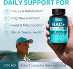 NAD+ Elite Complex – Direct NAD+ 300 mg with Urolithin A, Resveratrol, CoQ10 & Antioxidant Blend – Cellular Energy, Mitochondrial Support & Healthy Aging – Vegan, Non-GMO- 60 Capsules (Pack of 2)