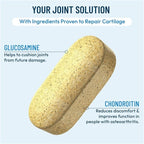 Advanced Bone & Joint Support Supplement | Promotes Healthy Joint Function & Relief from Joint Discomfort | Enhance Cartilage Flexibility & Range of Motion - 120 Count (Pack of 3)
