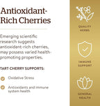 Solgar Tart Cherry 1000 mg, 90 Vegetable Capsules - Antioxidant with Quercetin, Chlorogenic Acid & Anthocyanins Compounds - Non-GMO, Vegan, Gluten Free, Dairy Free - 90 Servings