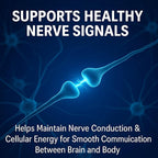 Rynutra Nerve Support Supplement, Capsules for Neuropathy with CoQ10, Turmeric, L-Carnitine, Butcher’s Broom, Alpha Lipoic Acid, Enhance Nerve Calming, Promote Overall Well-Being, 60 Capsules