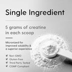 HEARTHY FOODS Creatine Monohydrate Micronized Powder 500G - 100 Servings, 5000mg Per Serving (5g) - for Men & Women Muscle Growth & Recovery - UNFLAVORED