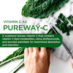 EMERALD LABS Men's 1 Daily Multi - Additive-Free Men's Multivitamin - Includes Lycopene, Zinc, Vitamin D3, & More - Supports Bones, Prostate & Vision* - 60 Vegetable Capsules