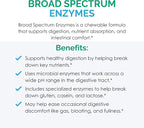 Rootcology by Dr. Izabella Wentz | Broad Spectrum Enzymes | Complete Digestive Support Formula | Chewable Tabs | 90 Servings