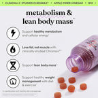 Lemme Tone Metabolism Gummies, Apple Cider Vinegar, Clinically Studied Chromium, B12, Ginger Root Extract, Promote Lean Body Mass, Watermelon Apple Flavor (30 Day Supply)