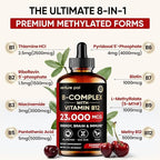 Venture Pal Vitamin B Complex Liquid Drops, B12 Methylcobalamin | B9 Folic | B1,B2,B3,B5,B6,B14 - Vitamin C, Choline, Inositol, Immune & Energy Metabolism, Brain & Heart Support