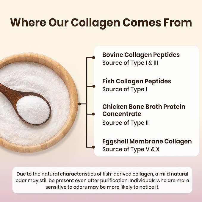 VEV Multi Collagen Peptides Powder, 16 oz (41 Servings) – Type I, II, III, V, X, Hydrolyzed Collagen, Hyaluronic Acid, Biotin, Vitamin C, Supports Skin, Unflavored, Dissolves Easily