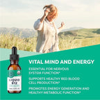 Vimergy USDA Organic Liquid Vitamin B12 Supplement 2500 mcg, Methylcobalamin & Adenosylcobalamin Fast-Absorbing Energy Support, Vegan, Non-GMO B12 Vitamins for Women & Men 30 Serving (30 mL)
