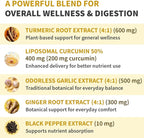 Liposomal Turmeric - High-Absorption Curcumin Supplements, Non-GMO Blend for Digestive Comfort & Daily Support - Organic Turmeric Supplement with Black Pepper (120ct, Pack of 2)