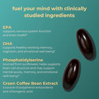 iwi life Brain Omega-3, 120 Softgels (60 Servings), Vegan Plant-Based Algae Omega-3 with EPA + DHA, Focus, Memory and Mood Support Dietary Supplement, Krill & Fish Oil Alternative, No Fishy Aftertaste