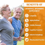 30mg Spermidine Supplement for Men & Women, High Absorption, More Potent Than Spermidine 3HCL - for Cellular Renewal, Longevity & Cognitive, Fermented Wheat Germ Extract, Pure & Natural, 60 Softgels