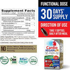 LABO Nutrition CardioREGAIN EX – Ubiquinol CoQ10 Supplement with Kaneka QH 150mg, Olive Fruit Extract (25% Hydroxytyrosol), Krill Oil – Heart, Cellular Energy, Liposomal Absorption, Non-GMO, Soy-Free