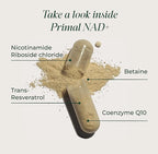 Primal Harvest NAD+ Supplement: Nicotinamide Riboside, Trans-Resveratrol, Betaine, CoQ10, NAD Supplements for Cellular Health, Energy, and Mitochondrial Support