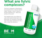 BEAM Minerals Micro-Boost and Electrolyze Advanced Set | Advanced Electrolyte & Micronutrient Support | 100% Bioavailable, Ionized Format