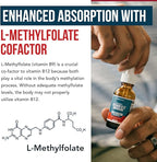BioActive Vitamin B12 5000 mcg | 3 BioActive Forms Plus Methylfolate Cofactor - Methylcobalamin, Adenosyl & Hydroxy | Sublingual Liquid Drops, Berry Flavor, Organic, Non-GMO, Vegan (1 oz)