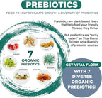 Vital Planet - Vital Flora Men Over 55 Daily Probiotic, 60 Billion CFU, Diverse Strains, Organic Prebiotics, Immune Support, Digestive Health Shelf Stable Probiotics for Men, 30 Capsules