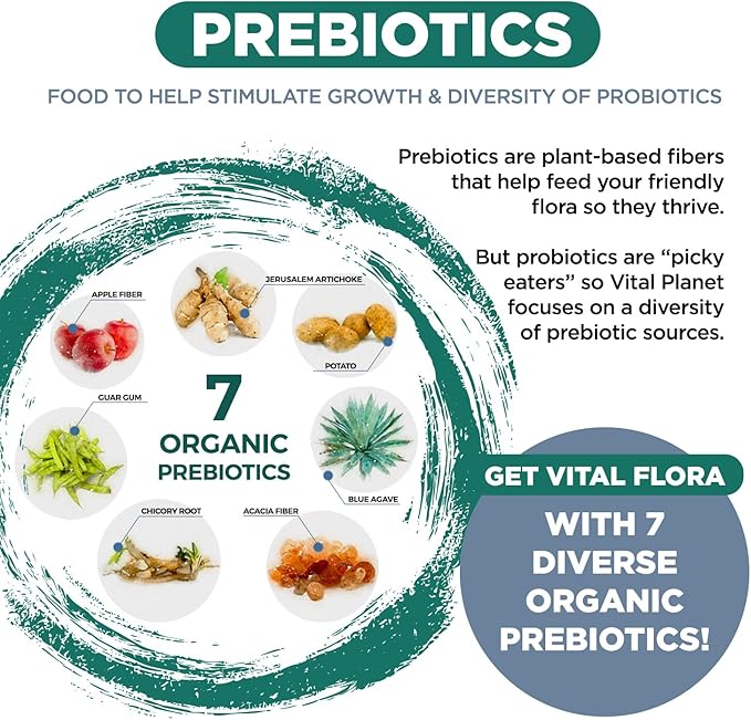 Vital Planet - Vital Flora Men Over 55 Daily Probiotic, 60 Billion CFU, Diverse Strains, Organic Prebiotics, Immune Support, Digestive Health Shelf Stable Probiotics for Men, 30 Capsules