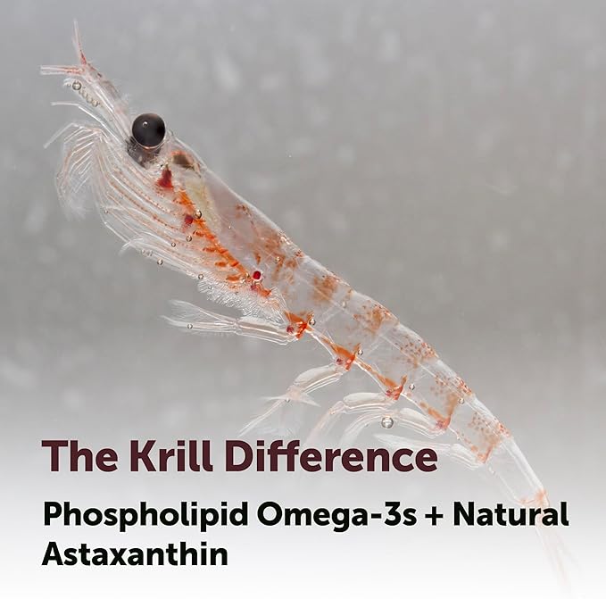 Micro Ingredients Antarctic Krill Oil Supplement, 1000mg Per Serving, 300 Soft-Gels, Rich in Omega-3s EPA, DHA & Natural Astaxanthin, Supports Immune System & Brain Health, Easy to Swallow