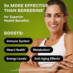 Dihydroberberine Supplement - Dehydro Berberine Organic - Super Berberine Supplement with Ceylon Cinnamon & R Alpha Lipoic Acid & Apigenin - Hydroberberine 480 caps (4 Packs)