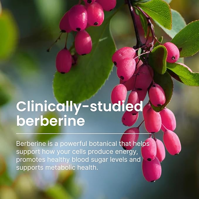 Humann SuperBerine Berberine Supplements, Healthy Metabolism & Blood Sugar Support - Clinically Researched Ingredient - High Absorbency, Concentrated Dose Formula with Olive Leaf Extract - 30 Capsules