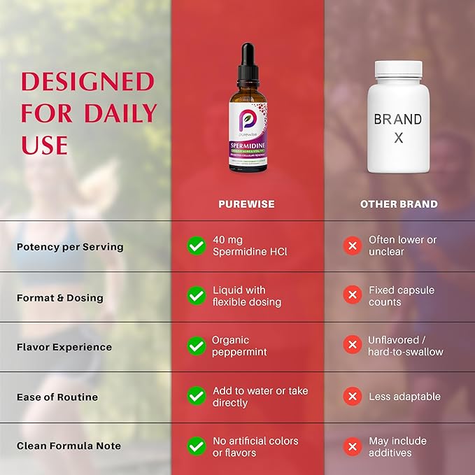 Spermidine Liquid Drops — Cellular Renewal & Healthy Aging Support, High-Potency 40 mg, Organic Peppermint Flavor, Bioavailable Polyamine Supplement — 2 fl oz