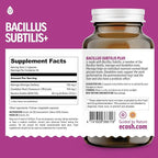 Bacillus Subtilis Spore Based Probiotic — High Potency Strain with Prebiotic for Balanced Belly | Daily Gut Health & Microbiome Support for Family | 6 Billion CFU Per Day | 90 Vegetarian Capsules